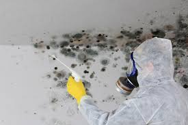 Best Biohazard Mold Removal  in Harb, OR